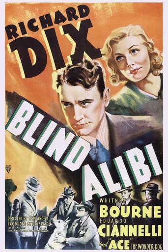 Blind Alibi film afişi