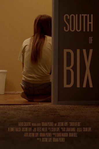 South of Bix film afişi