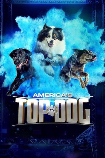 America's Top Dog dizi afişi