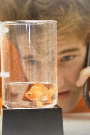 A Fishy State of Mind film afişi