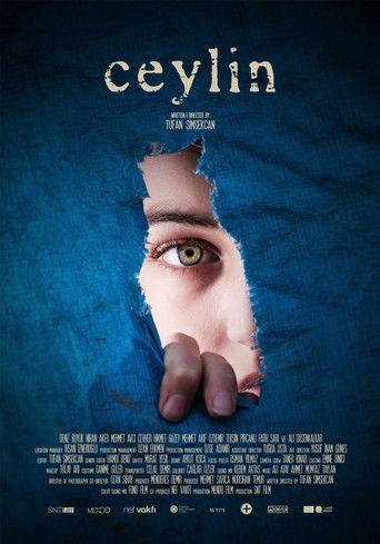 Ceylin film afişi