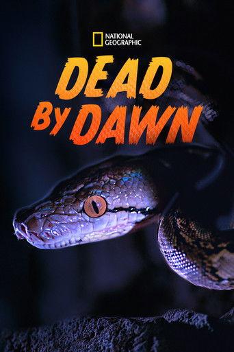 Dead By Dawn dizi afişi