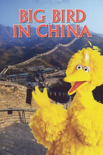 Big Bird in China film afişi