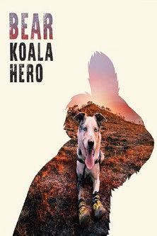 Bear: Koala Hero film afişi