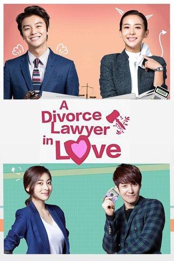 Divorce Lawyer in Love dizi afişi