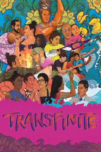 Transfinite film afişi