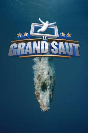 Le grand saut dizi afişi