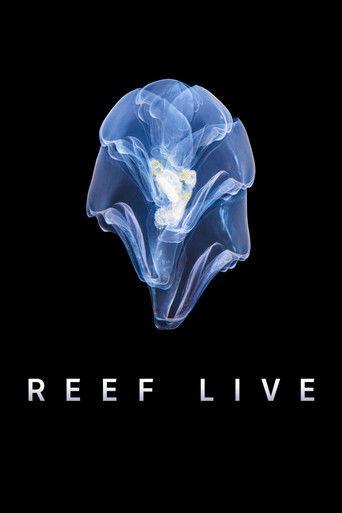 Reef Live dizi afişi
