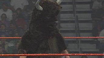 Superstars - Jan. 07, 1995