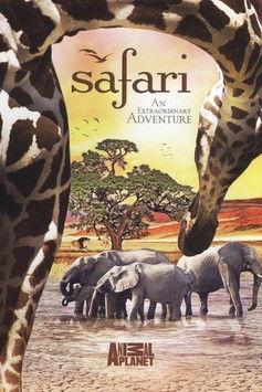 The Last Lion of Liuwa film afişi