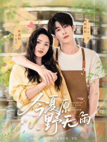 今夏原野无雨 dizi afişi