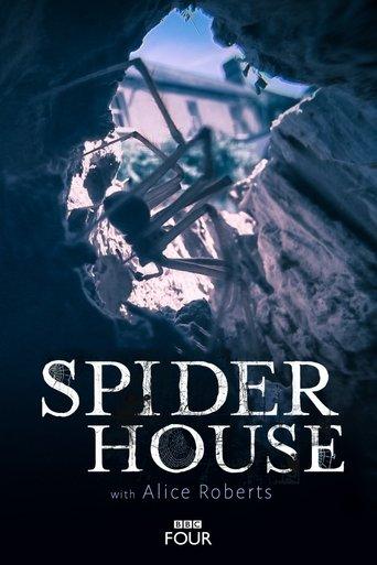 Spider House film afişi