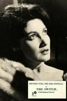 The Switch film afişi
