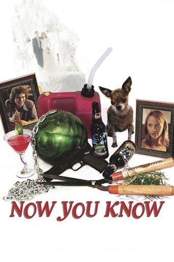 Now You Know film afişi