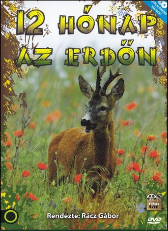 12 hónap az erdőn dizi afişi