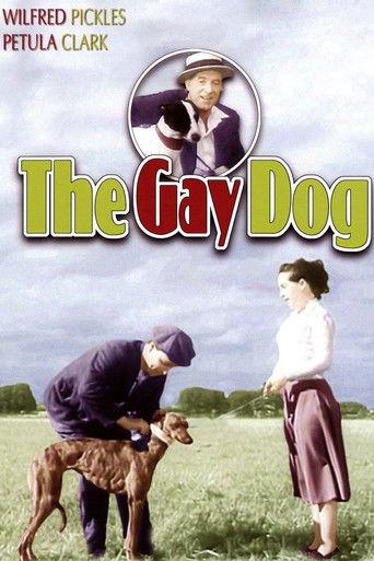 The Gay Dog film afişi