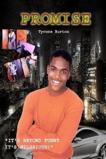 Promise film afişi