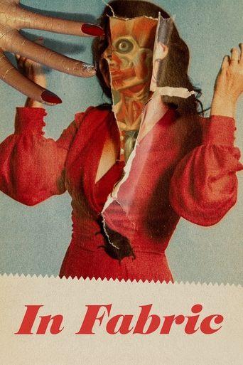 In Fabric film afişi