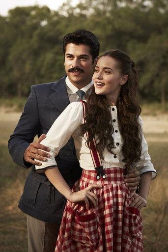 The Wren film afişi