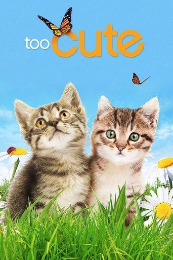 Too Cute dizi afişi