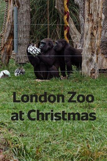 London Zoo at Christmas film afişi