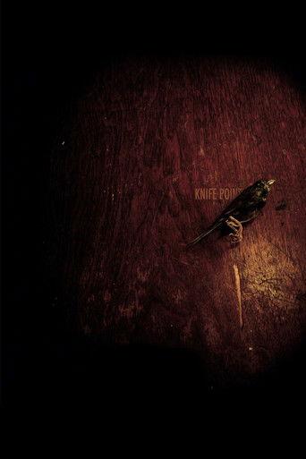 Knife Point film afişi