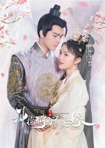 Detective Husband I've Never Met dizi afişi