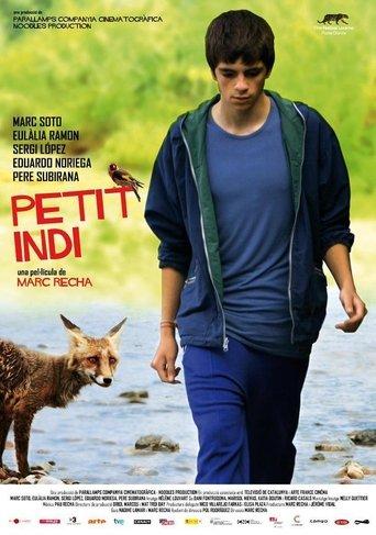 Little Indi film afişi