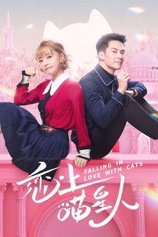 Falling in Love With Cats dizi afişi