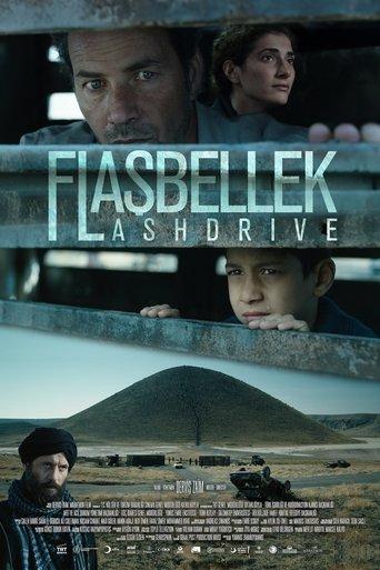 Flashdrive film afişi