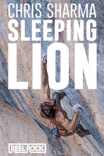 Sleeping Lion film afişi