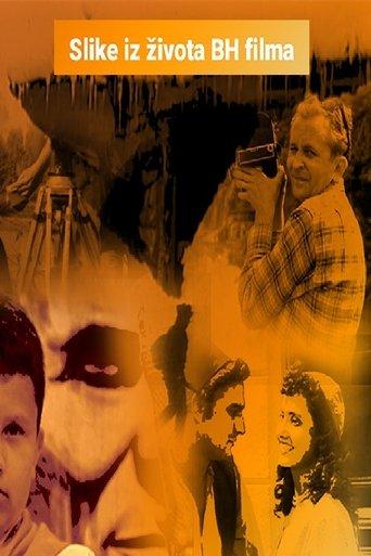 Scenes from the Life of BH Film film afişi