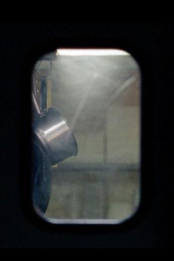 The Closing of the Fish film afişi