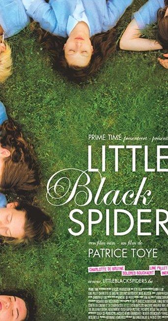 Little Black Spiders film afişi