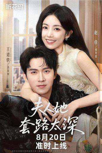 夫人她套路太深 dizi afişi