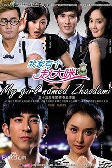 我家有个赵大咪 dizi afişi