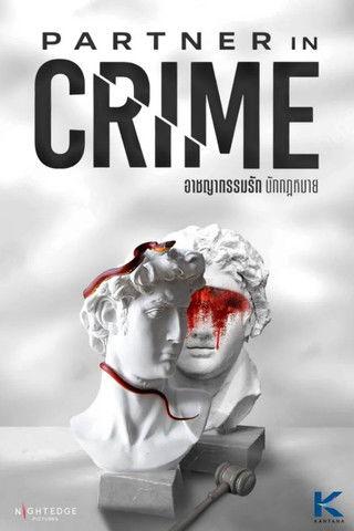 Partner in Crime dizi afişi