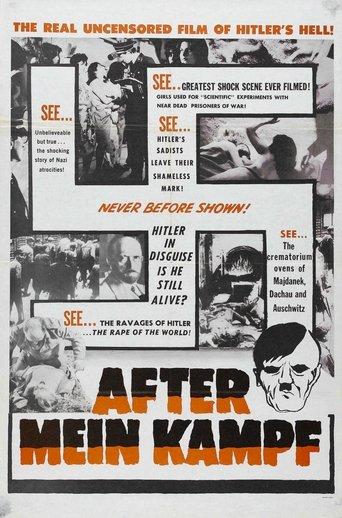 After Mein Kampf? film afişi