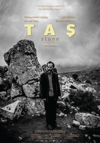 The Stone film afişi