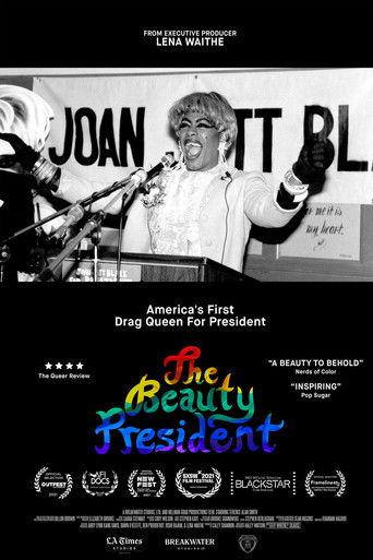 The Beauty President film afişi