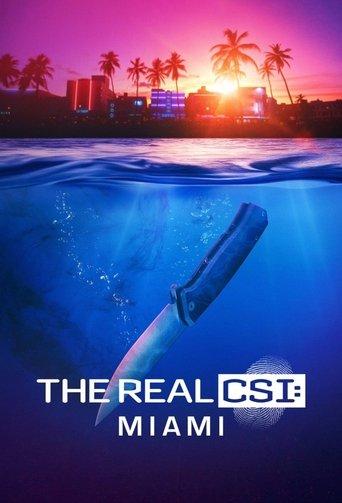 The Real CSI: Miami dizi afişi