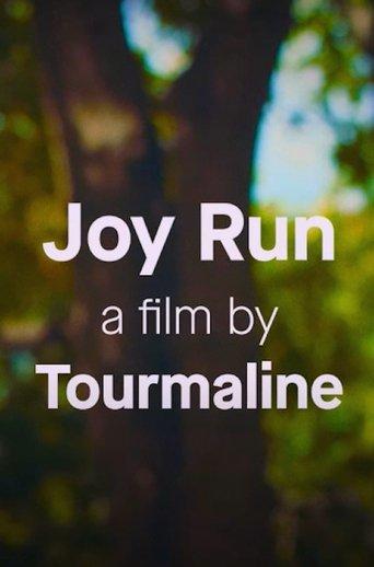 Joy Run film afişi