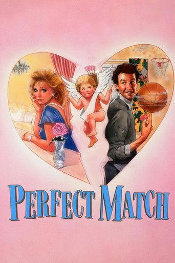 The Perfect Match film afişi
