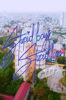 Stupid Boys Stupid Love dizi afişi