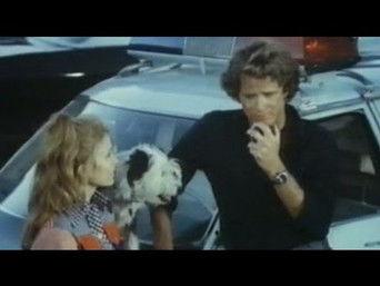 Night Train to Dallas