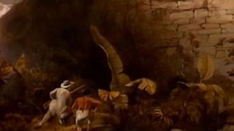 Lost Cities of the Amazon