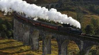 Geoduck Clams, Vintage Steam Trains, Water Polo Hats