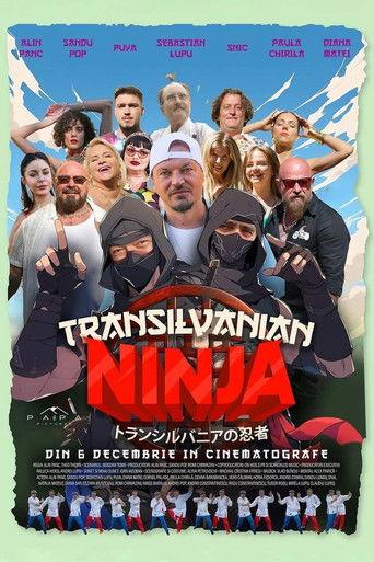 Transilvanian Ninja film afişi