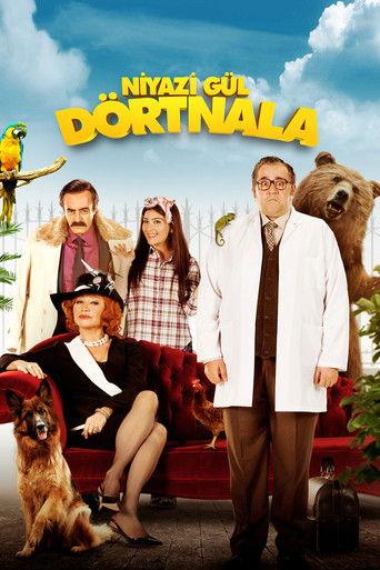 Niyazi Gül Dörtnala film afişi