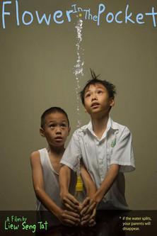 Flower in the Pocket film afişi
